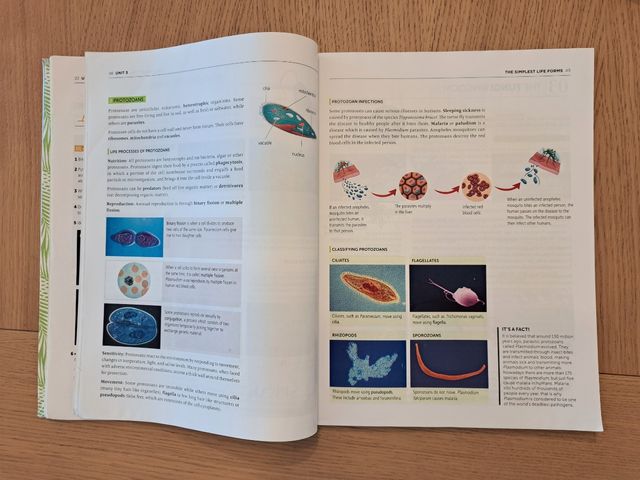 Biology and Geology. 1 ESO. 