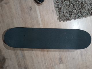 Skate birdhouse Tony hank