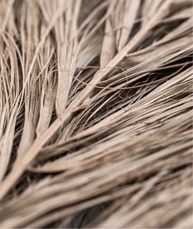 Pack 6 ramas secas decoración SKLUM