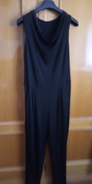 Mono negro fluido