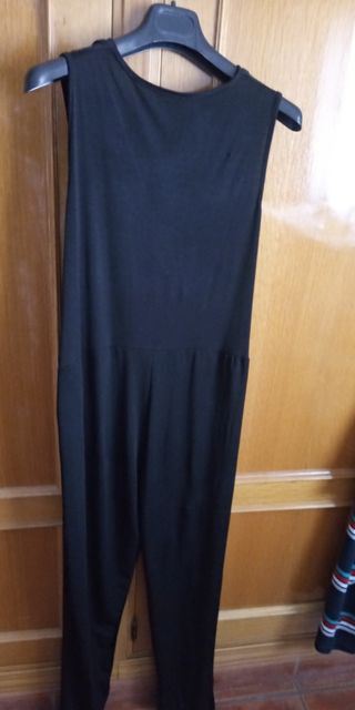 Mono negro fluido