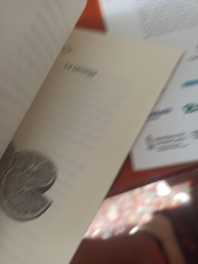 Libros en valenciano