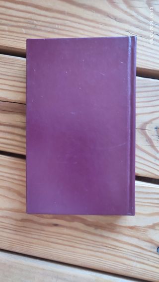 Retrato del artista adolescente