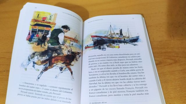 La llamada de lo salvaje/ Vicens Vives