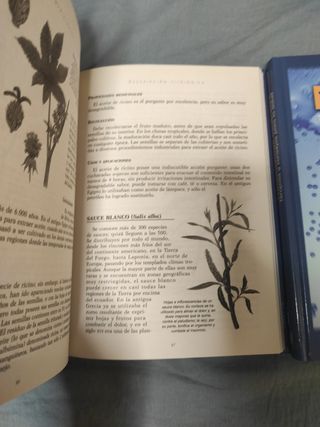 Libros Medicina Tradicional Alternativa