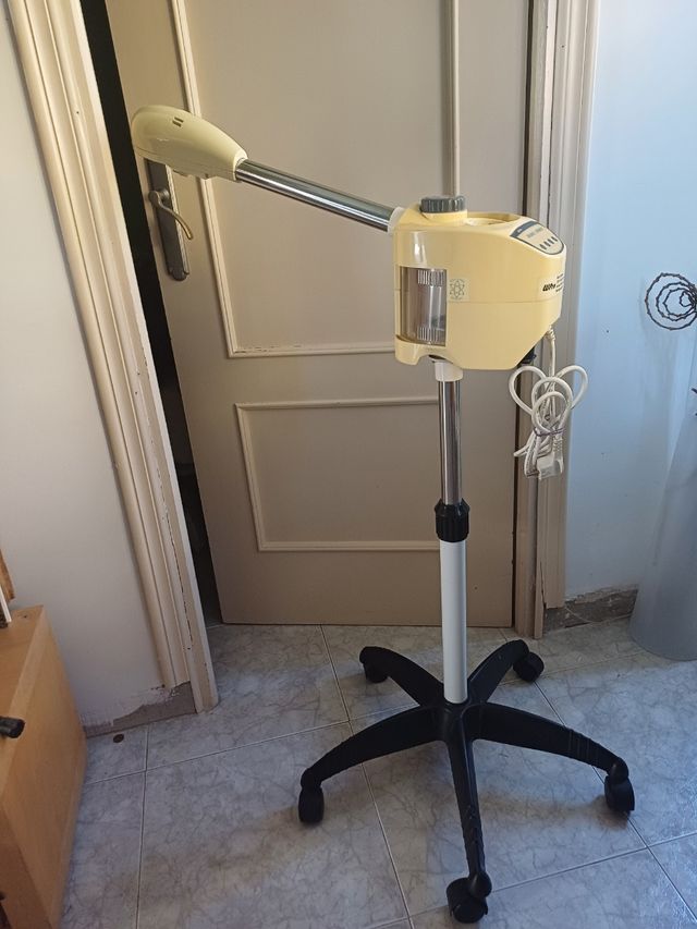 Vapor de pie con Ozono