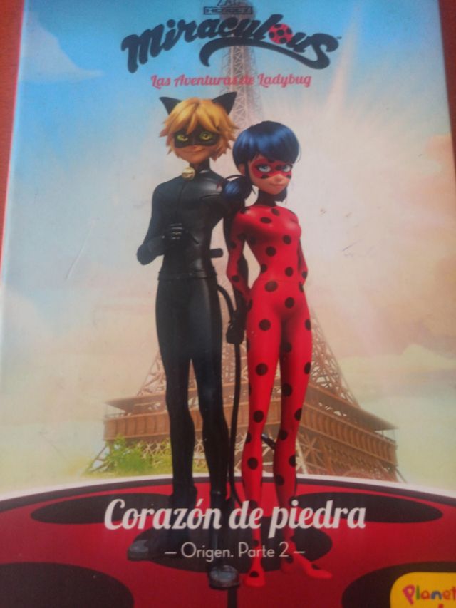 Libro Ladybug