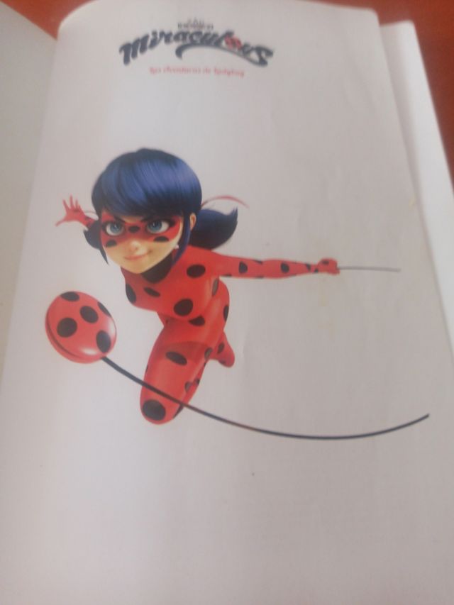 Libro Ladybug
