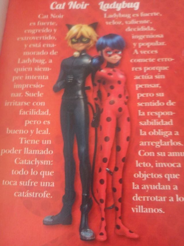 Libro Ladybug