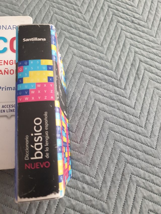 Diccionaro basico lengua española