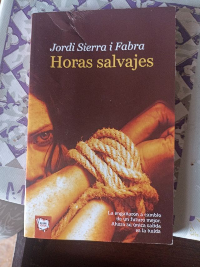 Horas salvajes. Novela juvenil