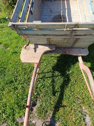 Carro caballo