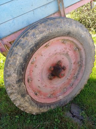 Carro caballo