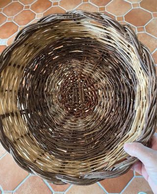 Cestini di varia grandezza