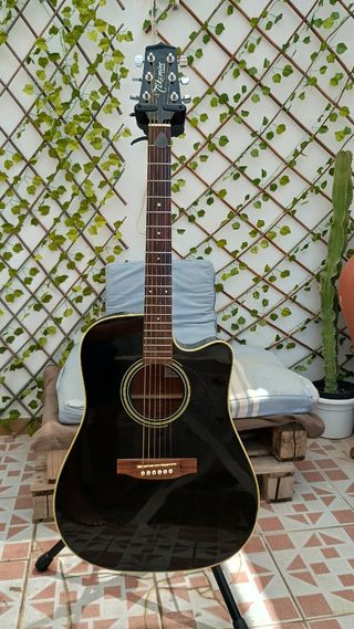 Guitarra acústica Takamine G series