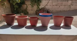 Lote 41 maceteros