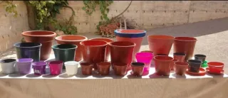 Lote 41 maceteros