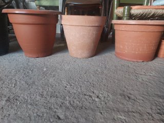 Lote 55 maceteros