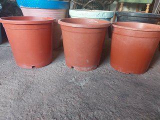 Lote 55 maceteros