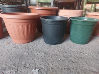 Lote 55 maceteros