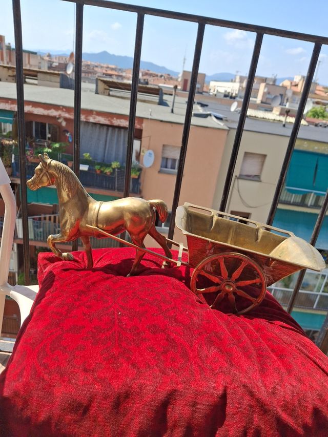 Elegante cavallo con carrozza