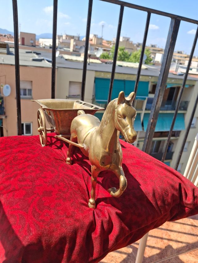 Elegante cavallo con carrozza