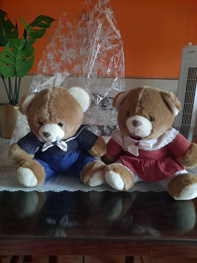 Coppia di orsacchiotti e orsetti super carini