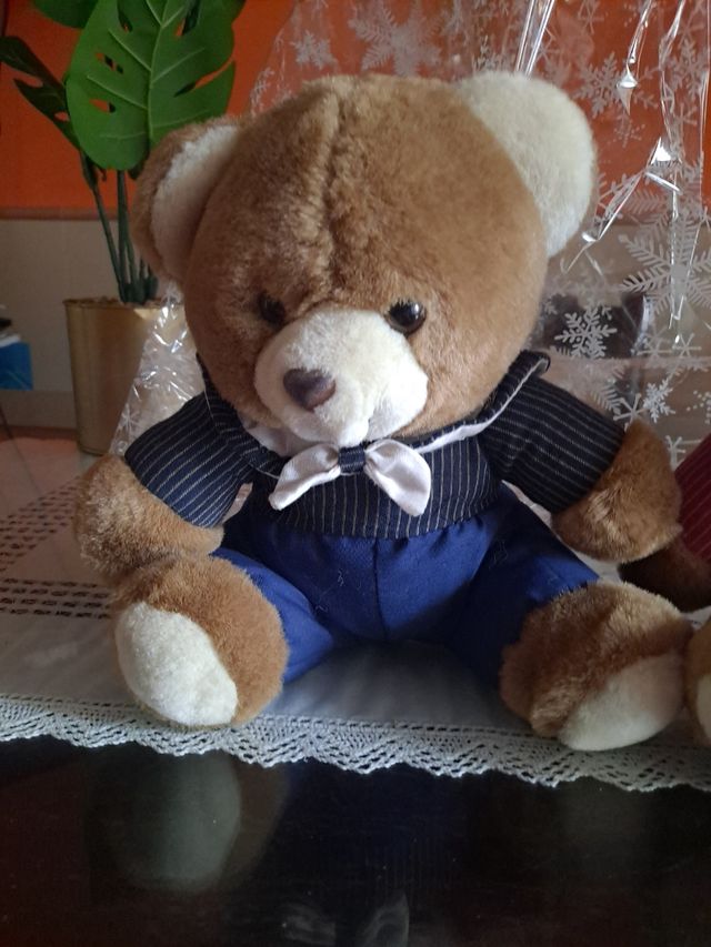 Coppia di orsacchiotti e orsetti super carini