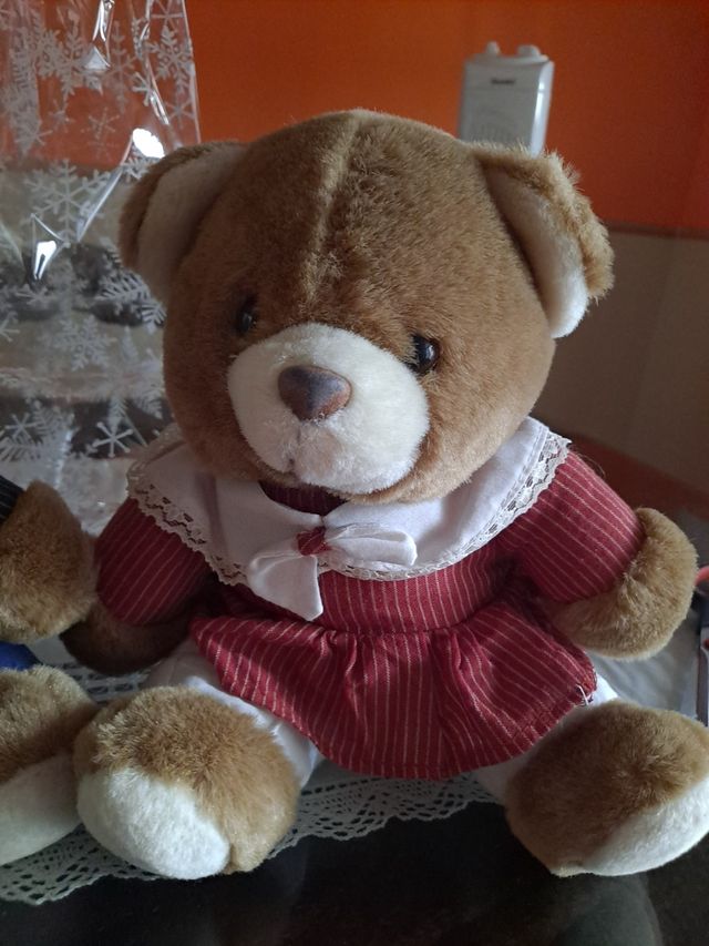 Coppia di orsacchiotti e orsetti super carini