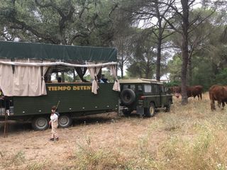 Alquiler jardinera, romerias, eventos