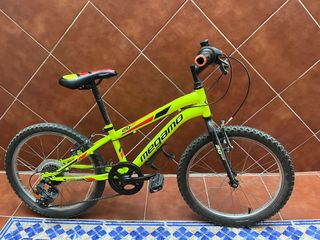 Bicicleta niño 20 pulgadas