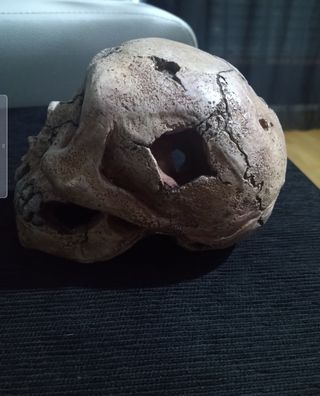 Calavera decoración