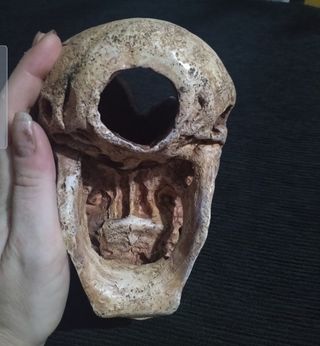 Calavera decoración