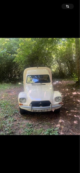 Citroen Dyane 6 1980