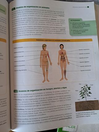 Biología y geología. 1ero. Bachillerato.