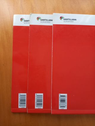 Llengua Santillana Voramar