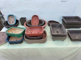 macetas de Bonsai