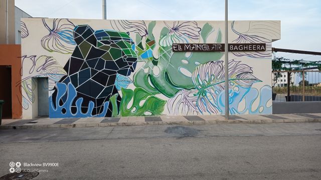 GRAFITERO servicio decora: diseño y pintura a mano