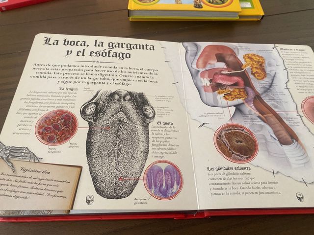 El libro del cuerpo humano del Dr. Frankenstein