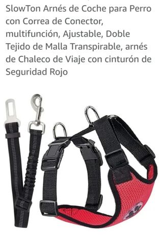 Arnés coche para perro.