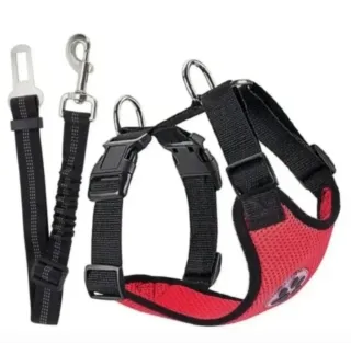 Arnés coche para perro.