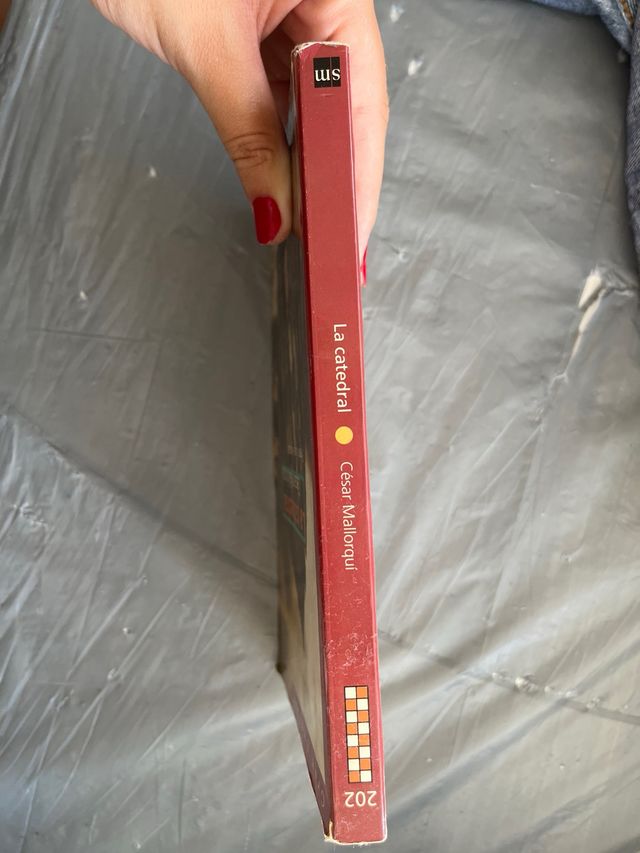 Libro “La catedral”