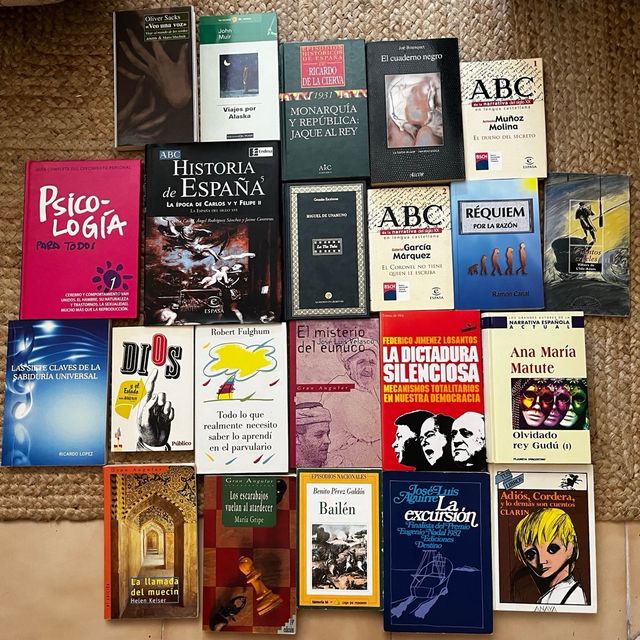 lote 22 libros diversos