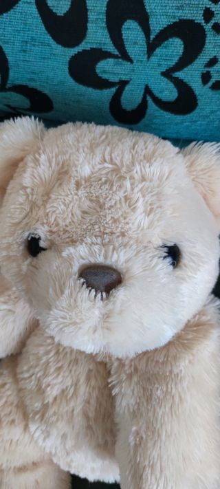 Oso de peluche grande/mediano