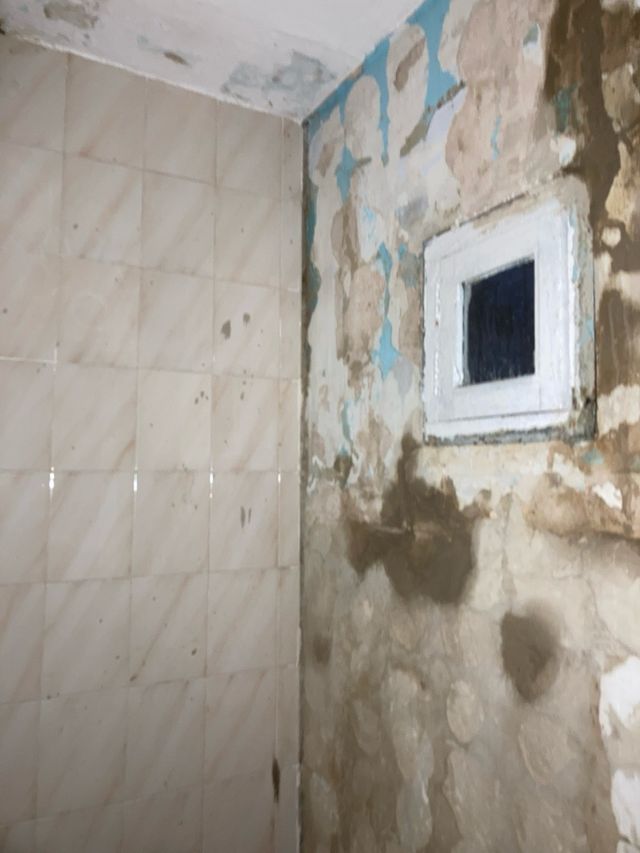 Quitamos el gotelé / Alisado de Paredes