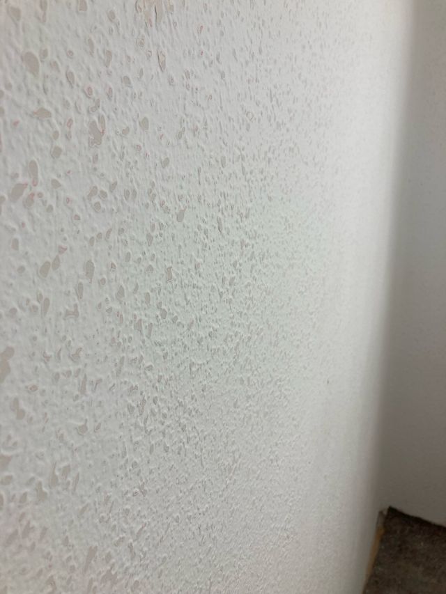 Quitamos el gotelé / Alisado de Paredes