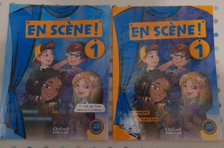 Libro Francés 5 Primaria