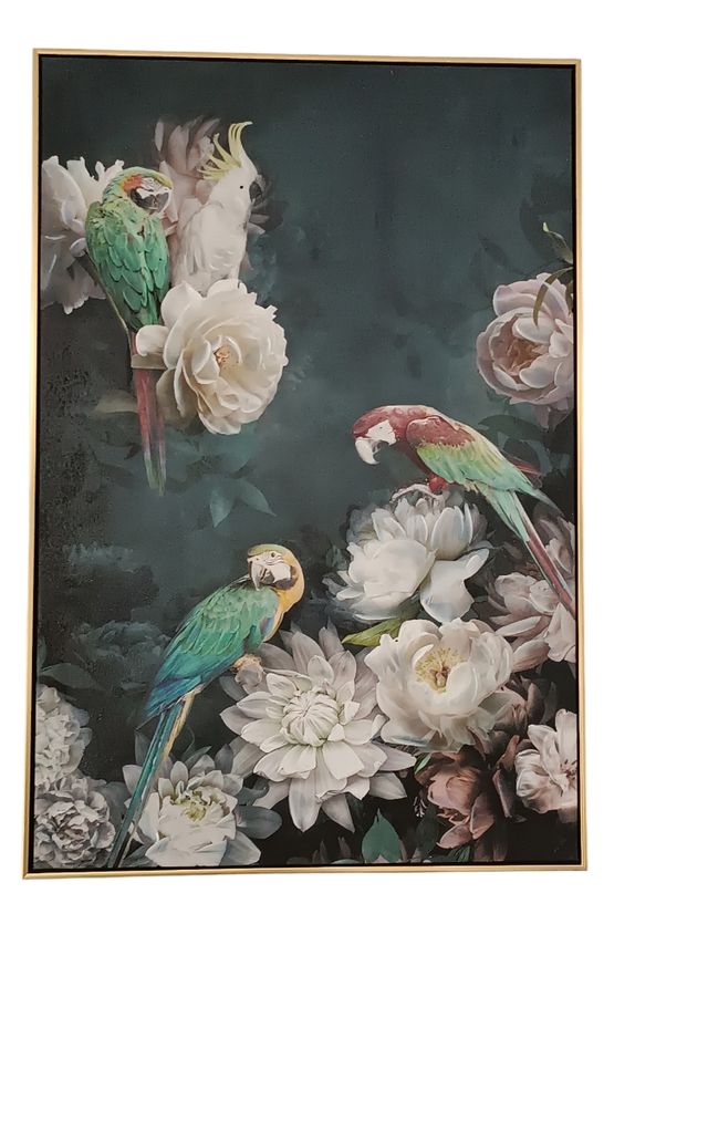Tela di pappagallo incorniciata