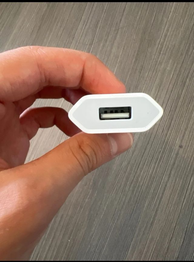 Cargador original Apple 5W