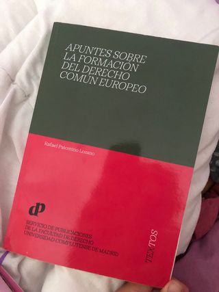 Apuntes sobre formación del Derecho Común Europeo